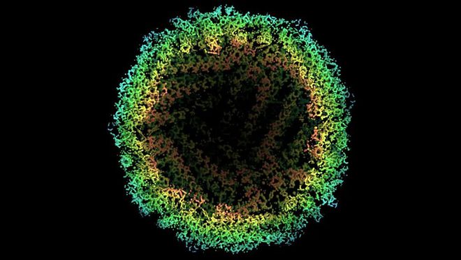 米博体育 米博平台牛！2020年中国十大科技进展新闻揭晓：南京大学连续两年入选(图21)