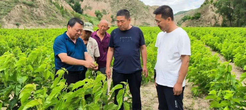 米博体育 米博官网${(ContentTitle)}(图2)