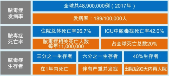女子持续高烧13天米博体育子宫成巨型脓窝