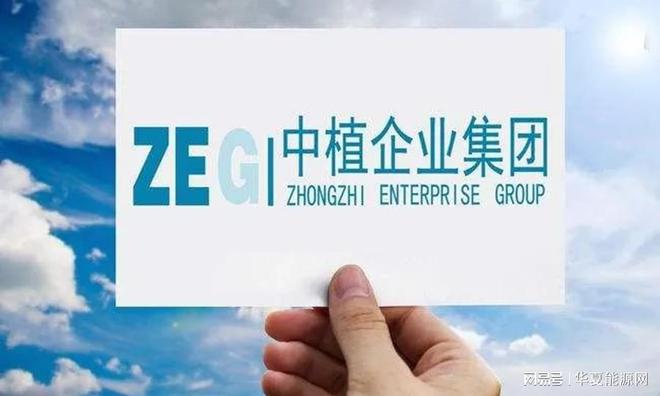 米博体育刚刚！中植集团申请破产！(图2)