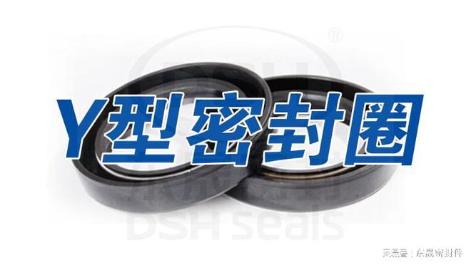 Y型密封圈的功能和结构米博体育 米博官网特点是什么？(图2)