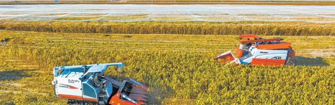 米博体育 米博平台铆足干劲促发展脚踏实地开新局——陕西榆林米脂县2024年经济社会发展展望