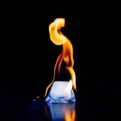 我们窥探到了“海底睡美人”的“香闺”快来看都发现了啥！米博体育(图1)