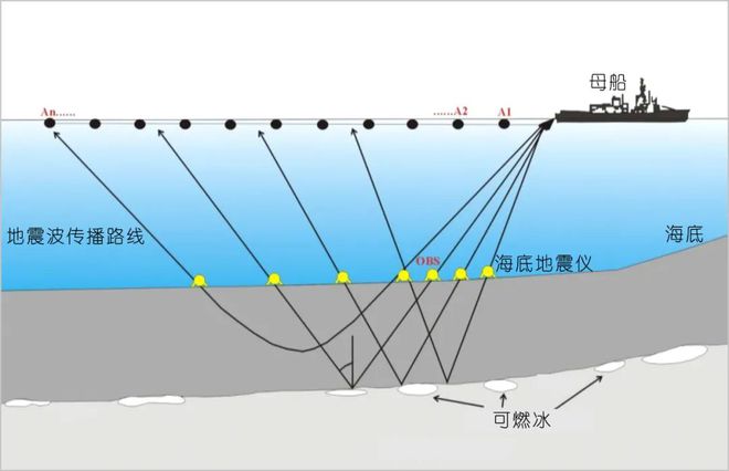 我们窥探到了“海底睡美人”的“香闺”快来看都发现了啥！米博体育(图3)